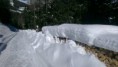 /album/urlaub-in-karnten/a1392379555667-jpg/